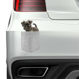Affenpinscher Dog in pocket Fridge Car Magnet Bumper Sticker App size 4"x7"
