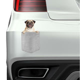 Pug w Glasses Dog in pocket Fridge Car Magnet Bumper Sticker App size 4"x7"