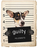 Rat Terrier Mugshot Bad Dog Fridge refrigerator Car Magnet