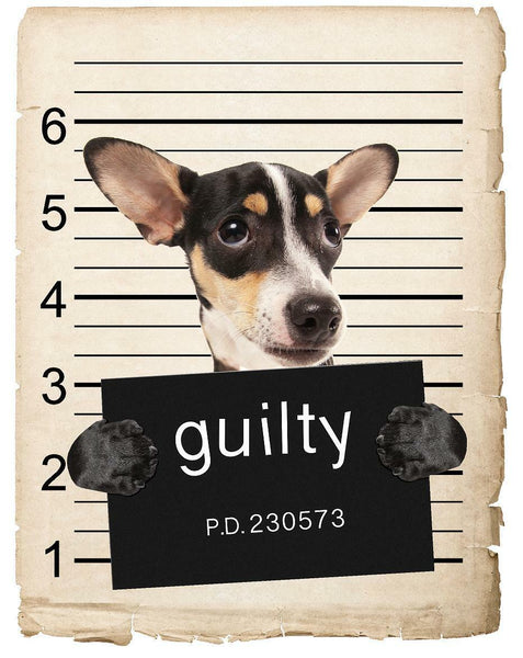 Rat Terrier Mugshot Bad Dog Fridge refrigerator Car Magnet