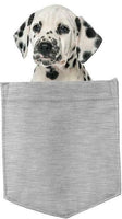 Dalmatian Dog in pocket Fridge Car Magnet Bumper Sticker App size 4"x7"