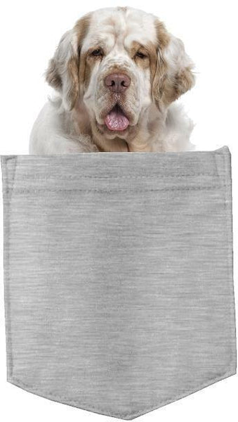 Clumber Spaniel Dog in pocket Fridge Car Magnet Bumper Sticker App size 4"x7"