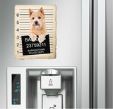 Norwich Terrier Mugshot Bad Dog Fridge refrigerator Car Magnet
