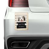 Coton De Tulear Mugshot Bad Dog Fridge refrigerator Car Magnet