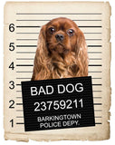 Cavalier King Charles Spaniel Mugshot Bad Dog Fridge refrigerator Car Magnet