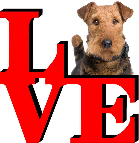 Airedale Terrier Love Park Cute Dog Fridge Refrigerator Car Magnet