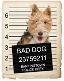 Fox Terrier Mugshot Bad Dog Fridge refrigerator Car Magnet