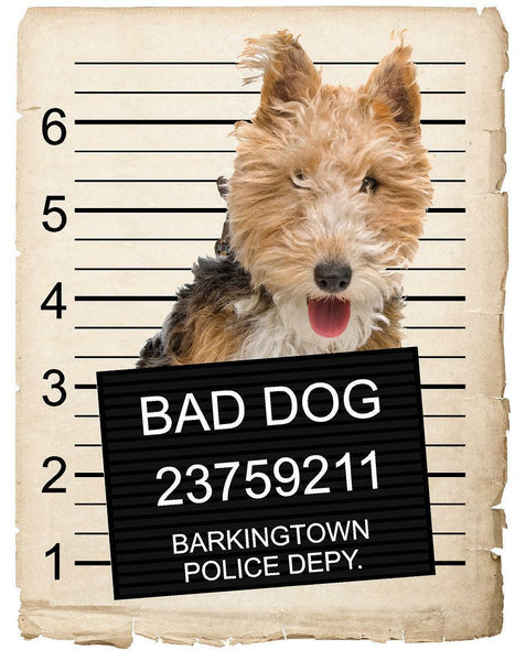 Fox Terrier Mugshot Bad Dog Fridge refrigerator Car Magnet