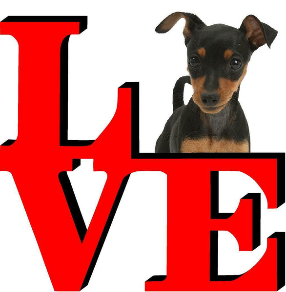 Miniature Pincher Love Park Cute Dog Fridge Refrigerator Car Magnet