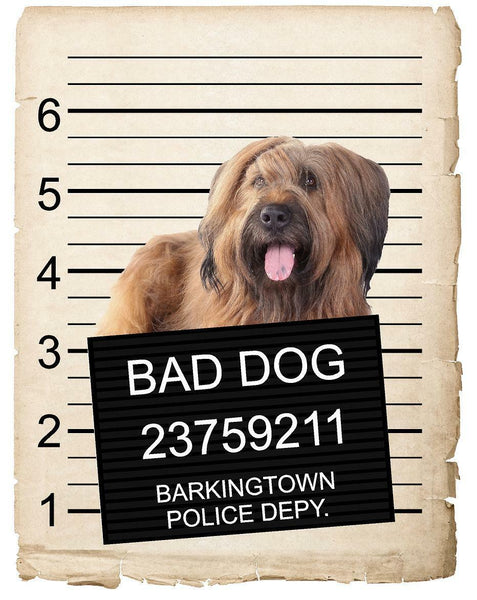 Briard Mugshot Bad Dog Fridge refrigerator Car Magnet