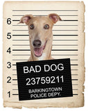 Greyhound Mugshot Bad Dog Fridge refrigerator Car Magnet