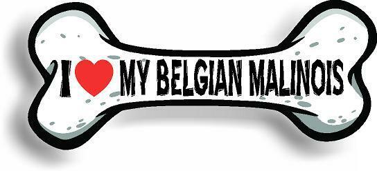 I Love My Belgian Malinois Bone Car Magnet Bumper Sticker 3"x7"