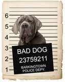 Neapolitan Mastiff Mugshot Bad Dog Fridge refrigerator Car Magnet