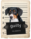 Entlebucher Sennenhund Mugshot Bad Dog Fridge refrigerator Car Magnet