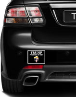 3 Pack Eco Trump Punisher More in 2024 Bumper Magnet 4 in x 3 in