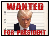 3 Pack Eco Wanted for President Trump Republican Bumper Magnet 4 in x 3 in