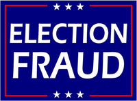3 Pack Eco Election Fraud Trump Biden Harris Bumper Magnet 4 in x 3 in