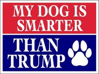3 Pack Eco My Dog is Smarter Than Trump Biden Political Bumper Magnet 4 in x 3 in