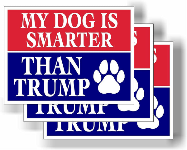 3 Pack Eco My Dog is Smarter Than Trump Biden Political Bumper Magnet 4 in x 3 in